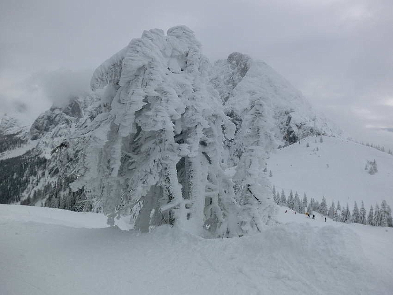 5-Dachstein West 063